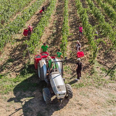 Il Querciolo - Azienda Biologica, Agriturismo E Cantina Marciano della Chiana المظهر الخارجي الصورة
