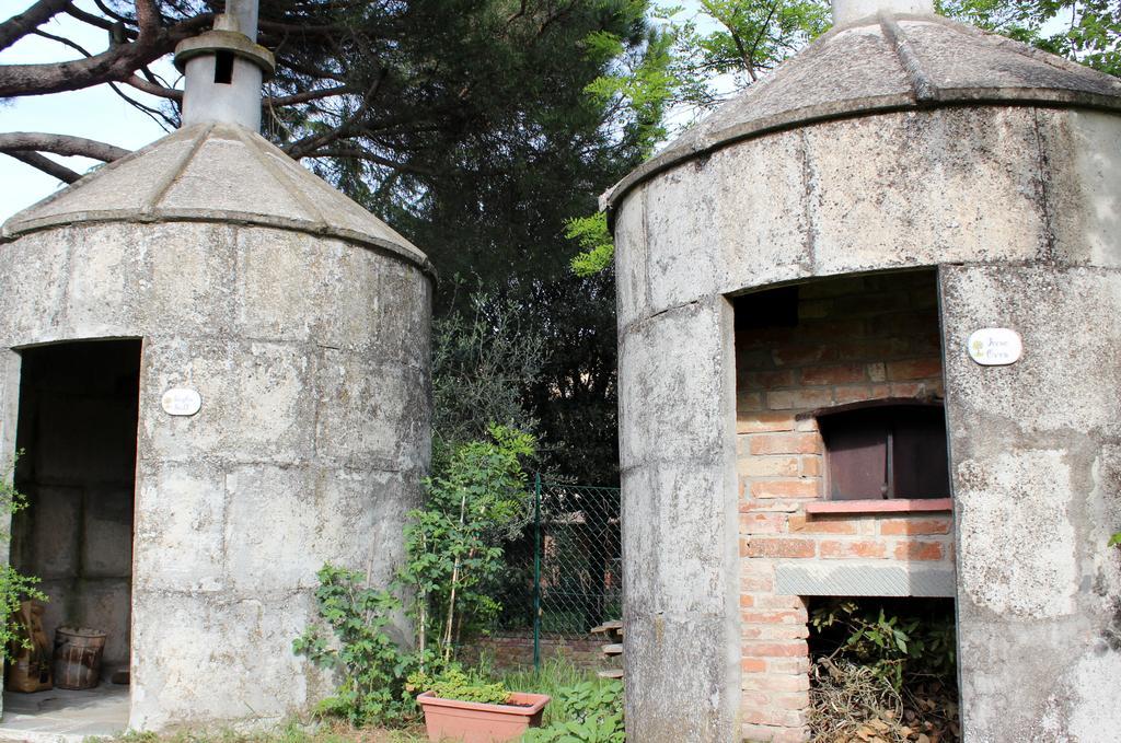 Il Querciolo - Azienda Biologica, Agriturismo E Cantina Marciano della Chiana المظهر الخارجي الصورة