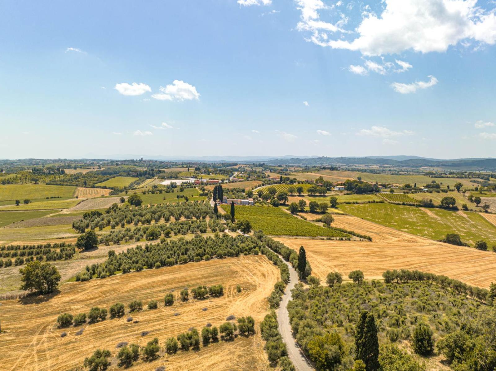 Il Querciolo - Azienda Biologica, Agriturismo E Cantina Marciano della Chiana المظهر الخارجي الصورة