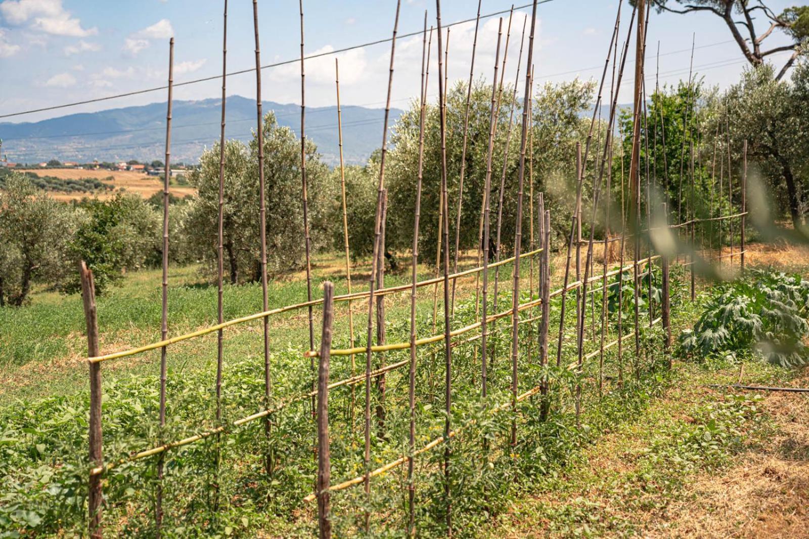 Il Querciolo - Azienda Biologica, Agriturismo E Cantina Marciano della Chiana المظهر الخارجي الصورة
