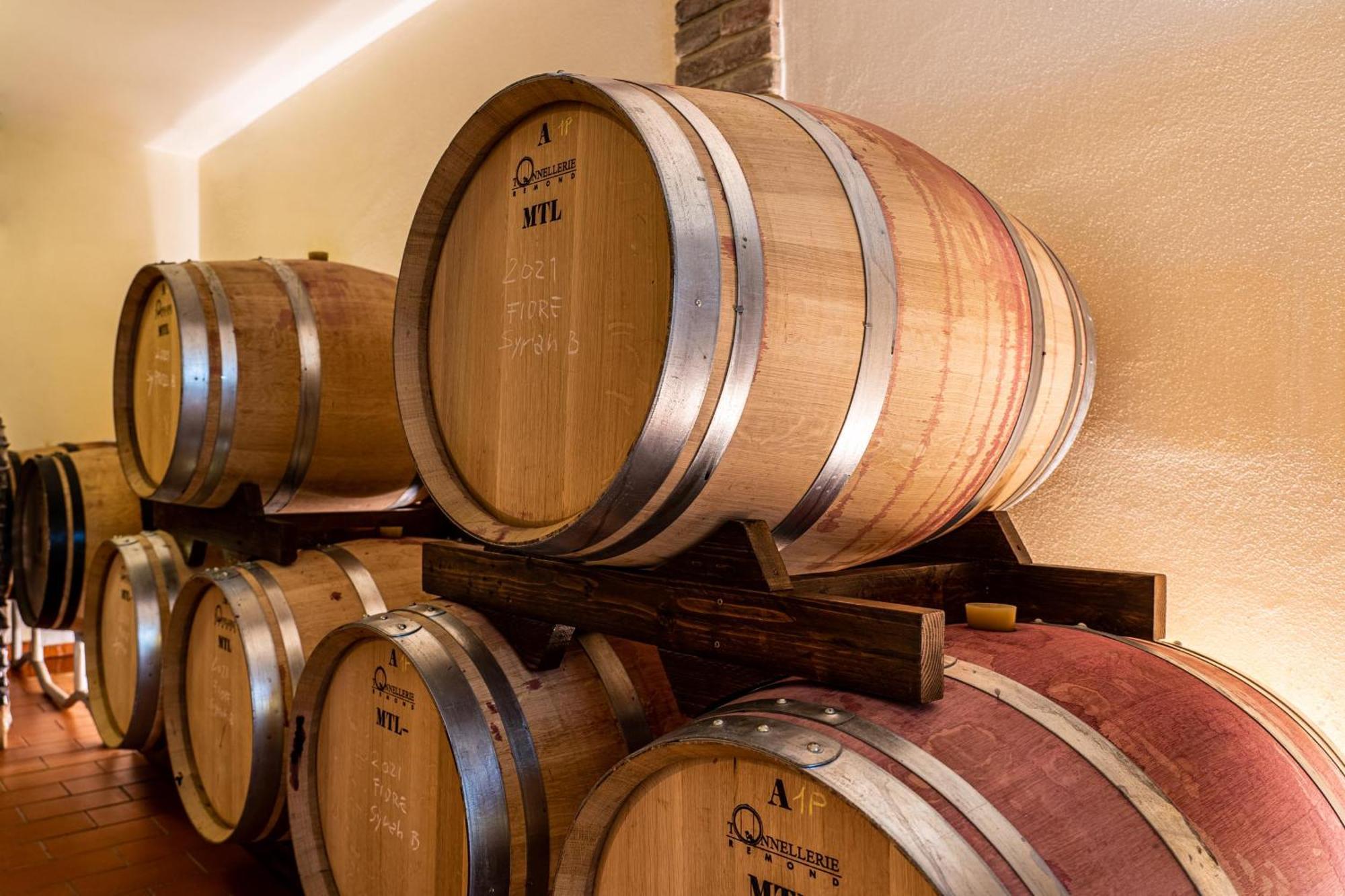 Il Querciolo - Azienda Biologica, Agriturismo E Cantina Marciano della Chiana المظهر الخارجي الصورة